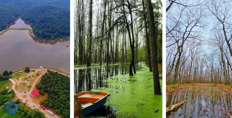 پارک جنگلی سراوان و دریاچه سقالکسار