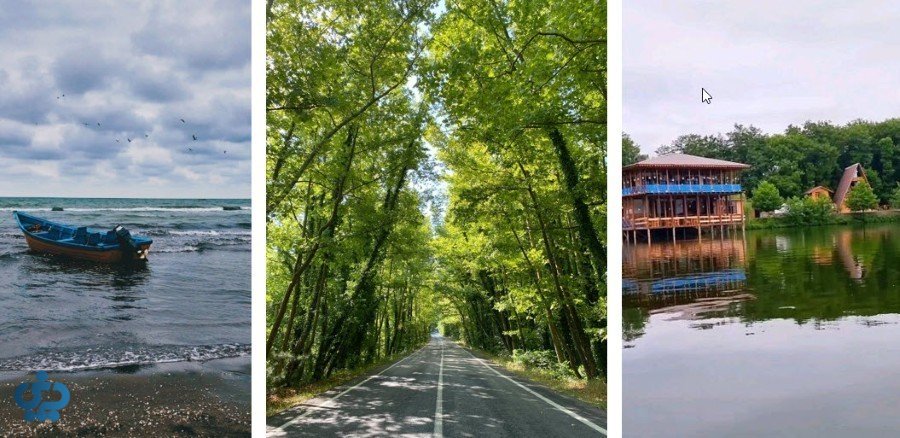 جنگل و ساحل گیسوم