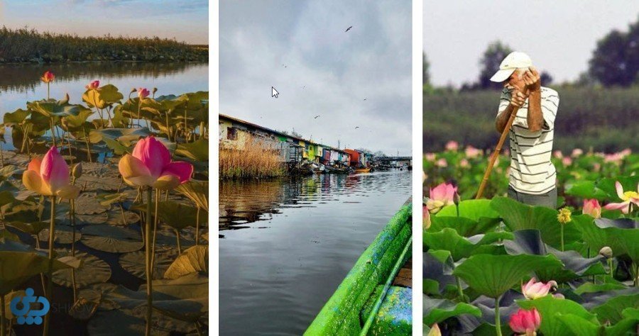 تالاب بینالمللی انزلی