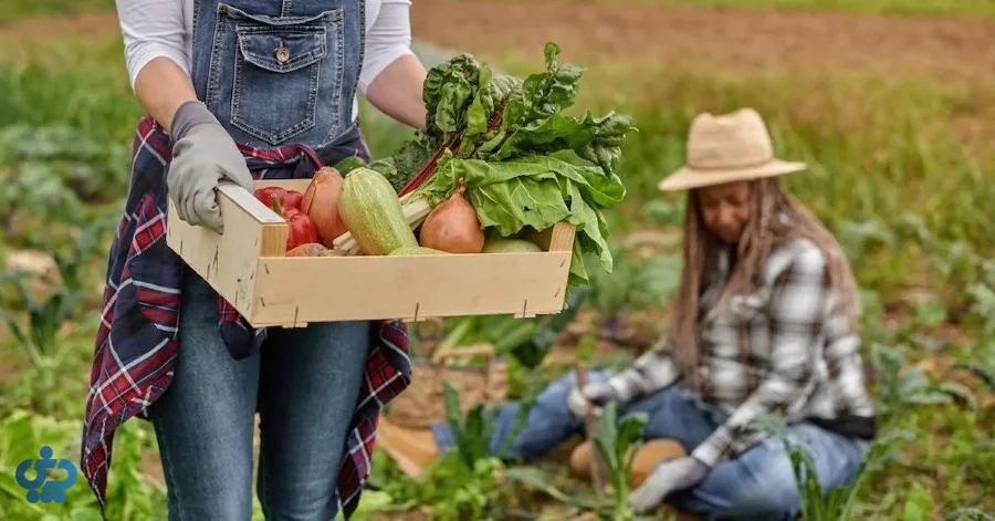 فواید غذای ارگانیک برای سلامتی و محیطزیست