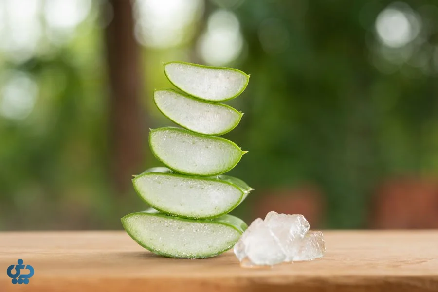 نحوه نگهداری