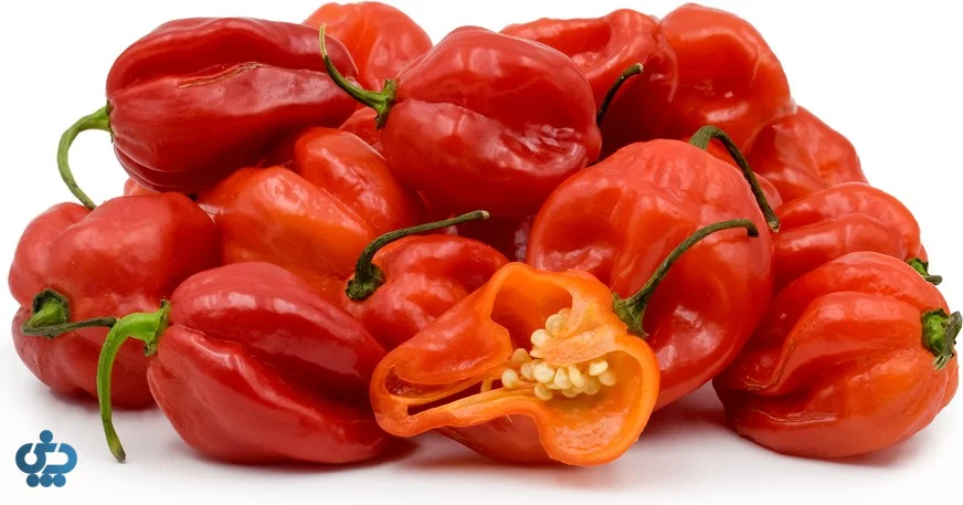 فلفل هابانرو و اسکاچ بونت