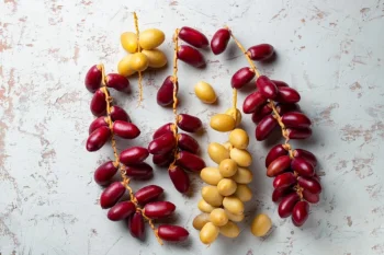 میوه خارک چیست؟ فواید و مضرات آن برای سلامتی