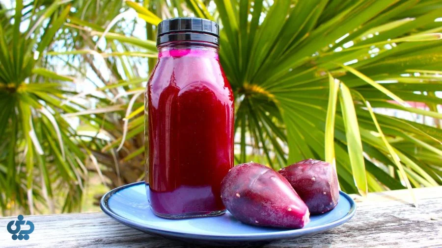 لیوان آبمیوه تازه کاکتوس