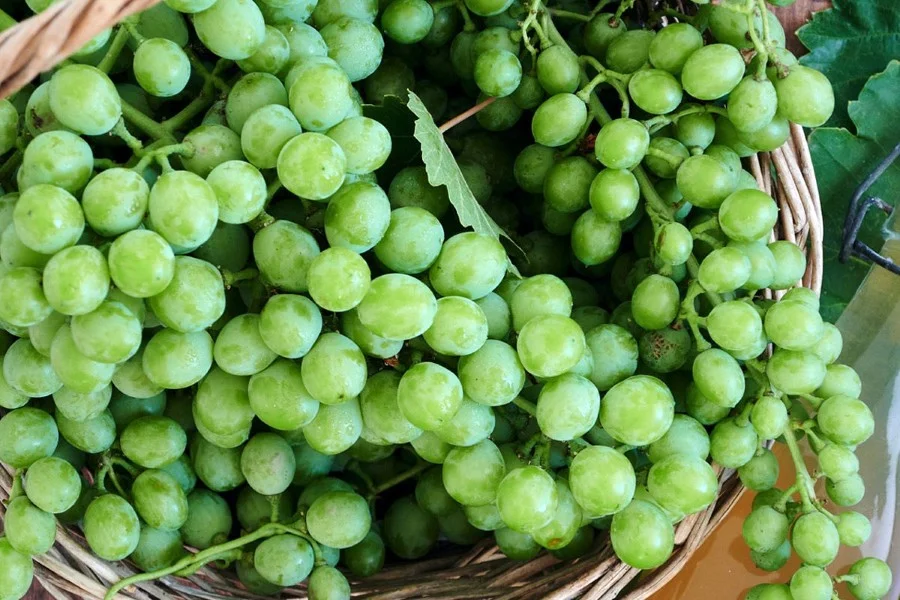 قوره یا غوره چیست؟ فواید، کاربردها، مضرات و راهنمای کامل این چاشنی