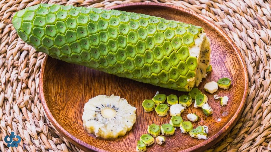 میوه برگ انجیری (مانسترا دلیسیوسا)