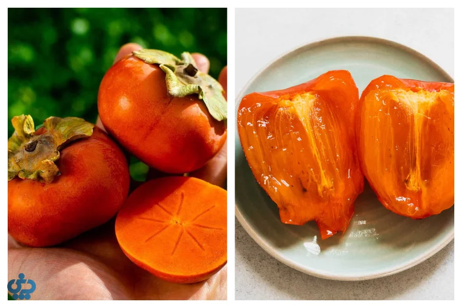 انواع خرمالو