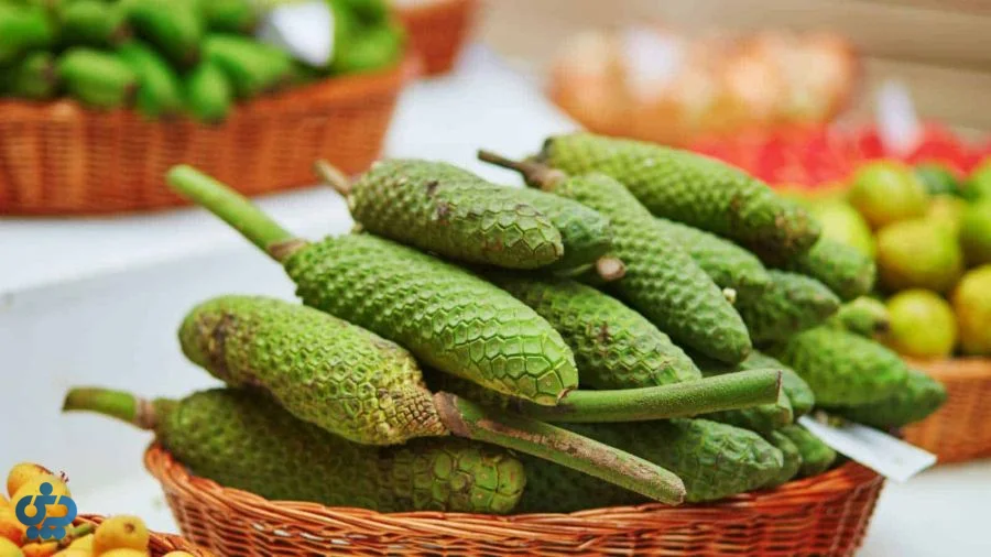 میوه برگ انجیری (مانسترا دلیسیوسا)