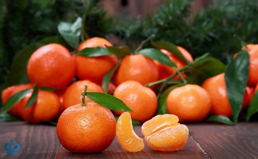 نارنگی انشو