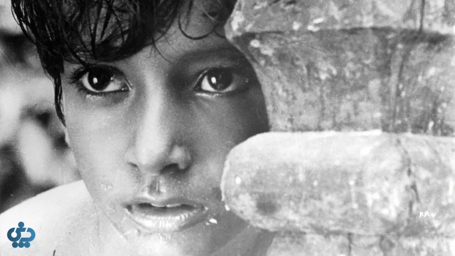 صحنهای از فیلم هنری پاتر پنچالی