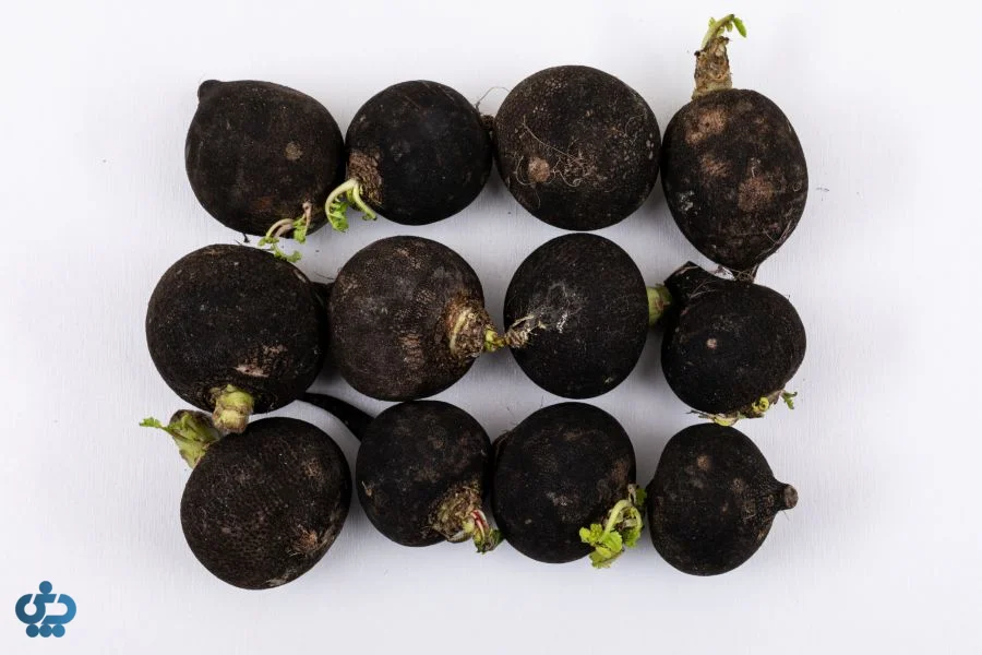 ترب سیاه (Black Radish)