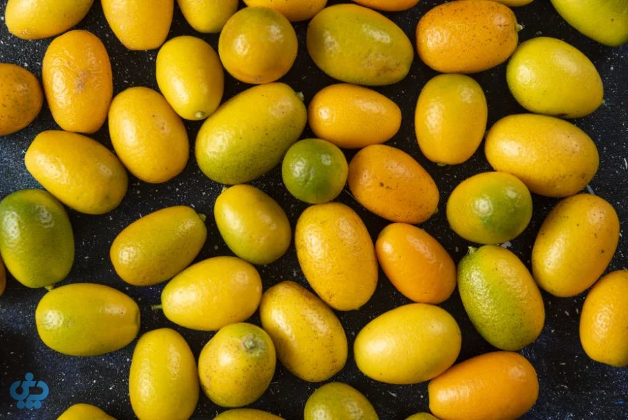 کامکوات در ایران ایران