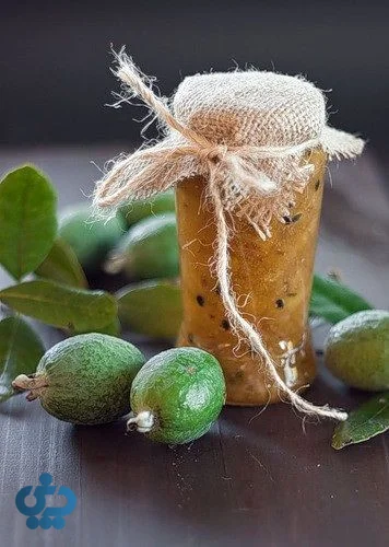 طرز تهیه مربای فیجوا