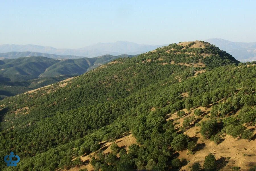 درختان و کوه های ایران