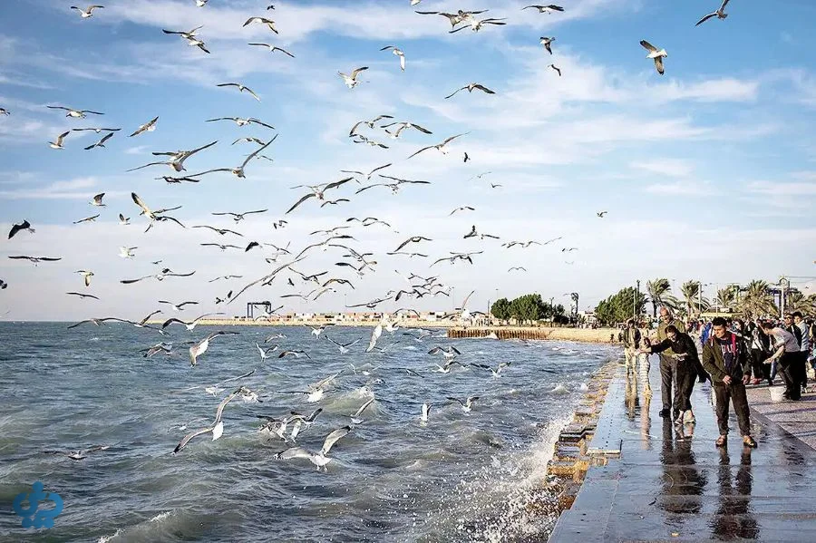 بوشهر؛ نوای نی‌انبان و طعم قلیه ماهی