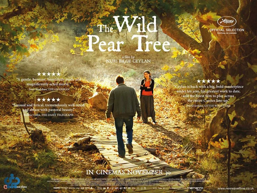 The Wild Pear Tree - درخت گلابی وحشی