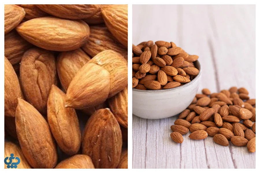 ارقام محبوب بادام شیرین