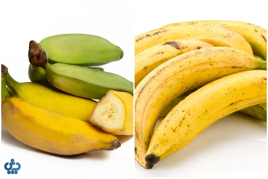 انواع موزهای پختنی