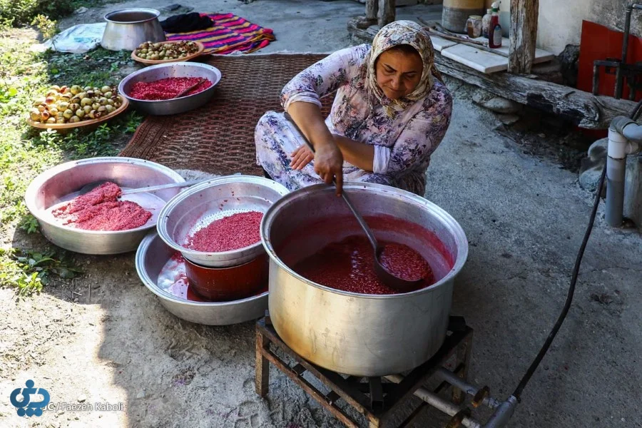 طرز تهیه رب انار