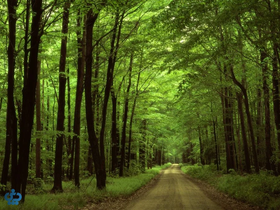 تهدیدها و راهکارها