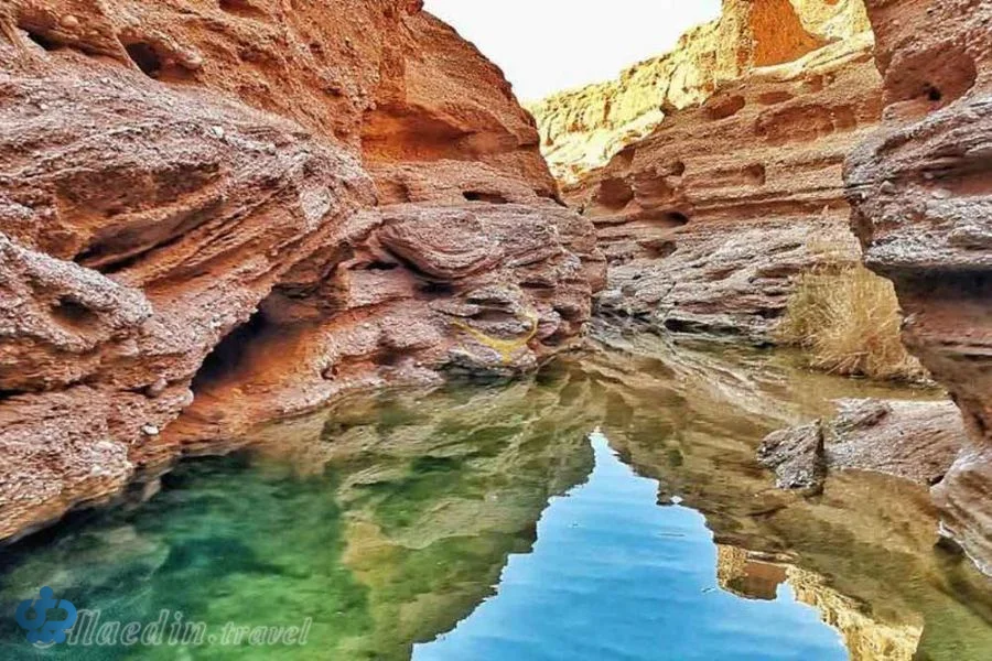 طبس و کال جنی