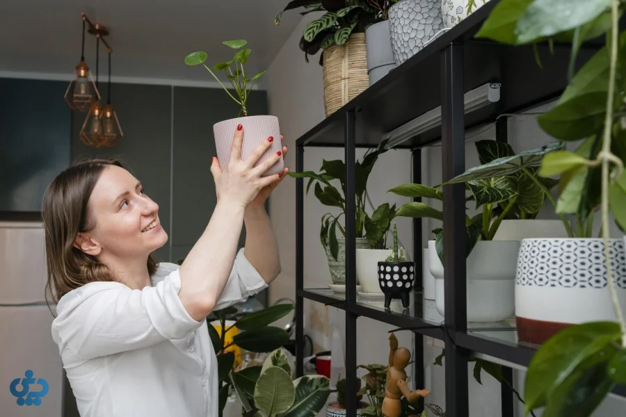 گیاهان؛ تنفس تازه در فضای خواب