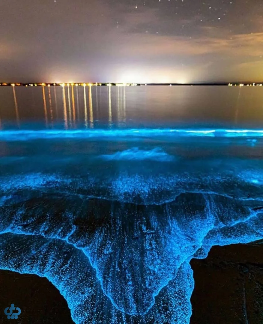 سفر به قشم یا هرمز