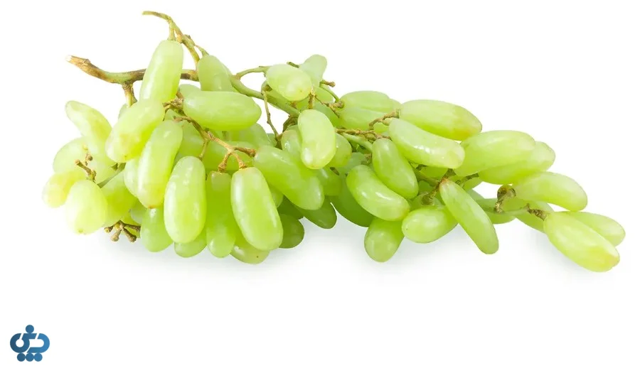 انگور ریشبابا