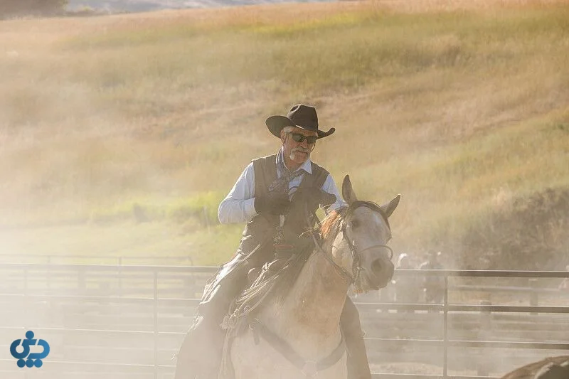 سریال Yellowstone