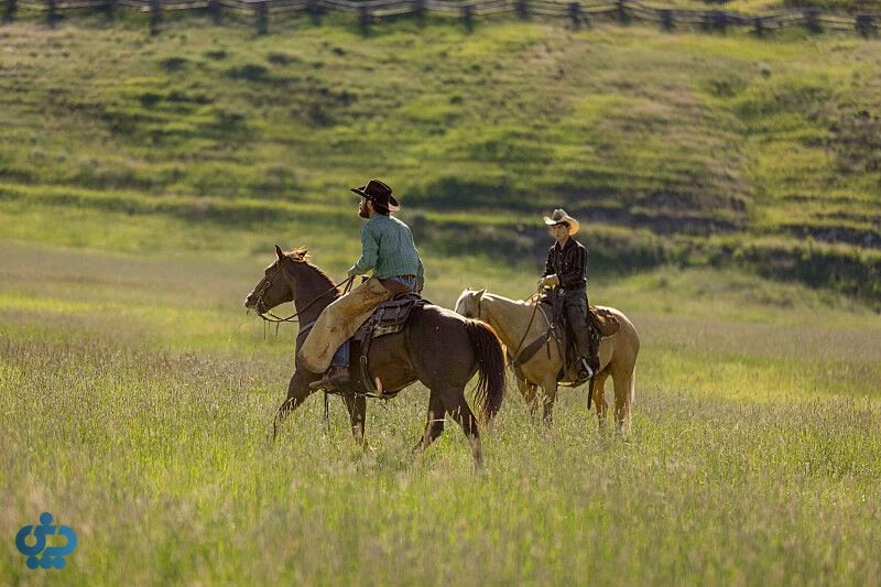 سریال Yellowstone