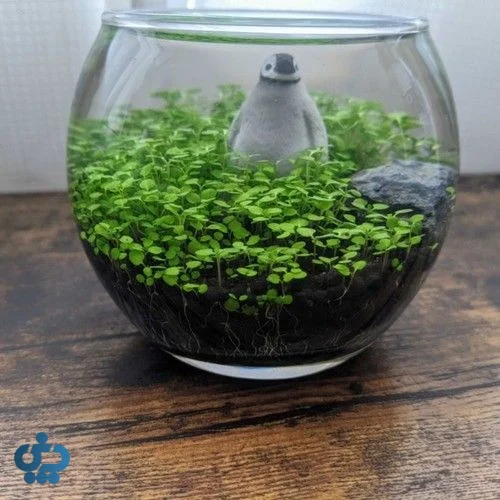 ایدههای خلاقانه برای اجزای هفتسین