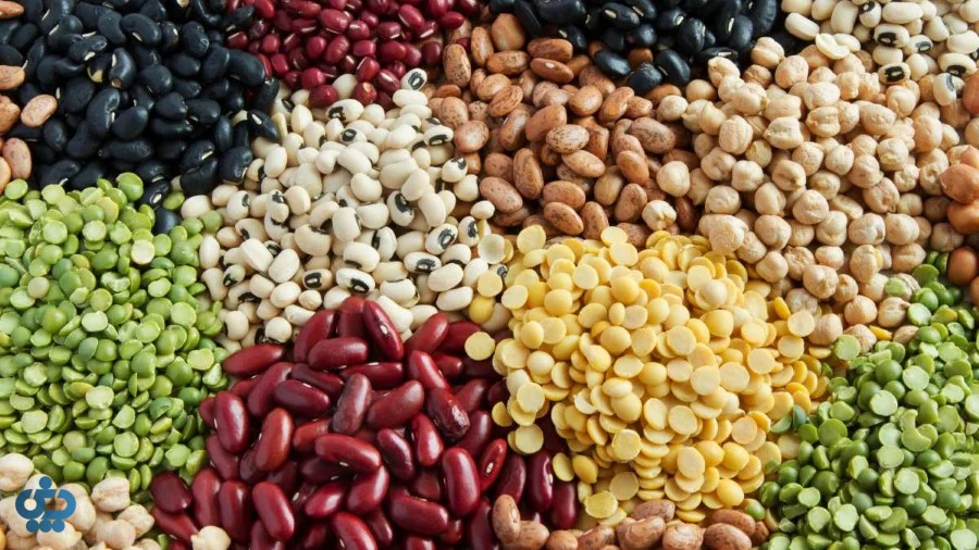 حبوبات؛ گنجینه گیاهی برای گیاهخواران