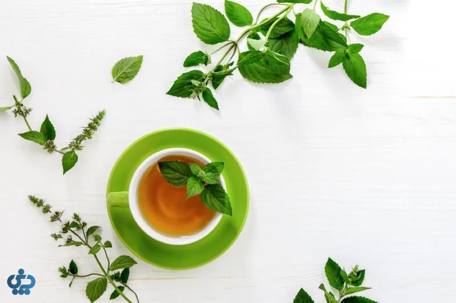 خواص نعنا برای معده و دستگاه گوارش