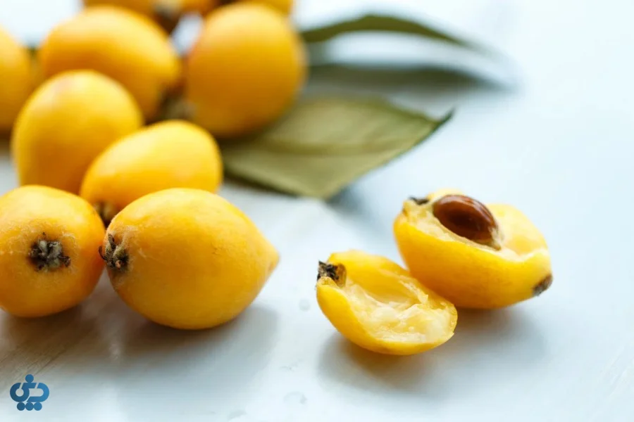 خواص و فواید درمانی انبوه یا ازگیل ژاپنی
