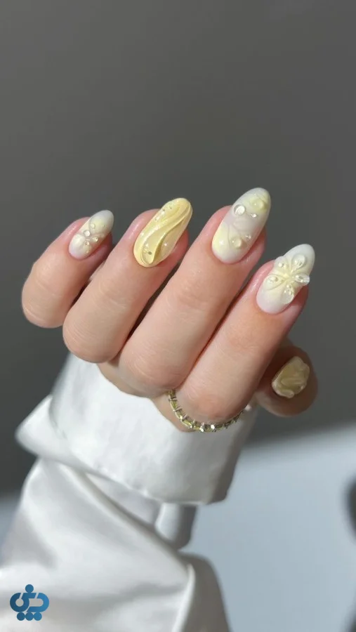 فرنچ زرد کره‌ای سه‌بعدی و تری‌دی