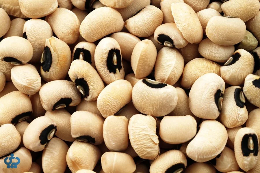 لوبیای چشم‌بلبلی (Black-eyed Peas)؛ زودپز و سبک
