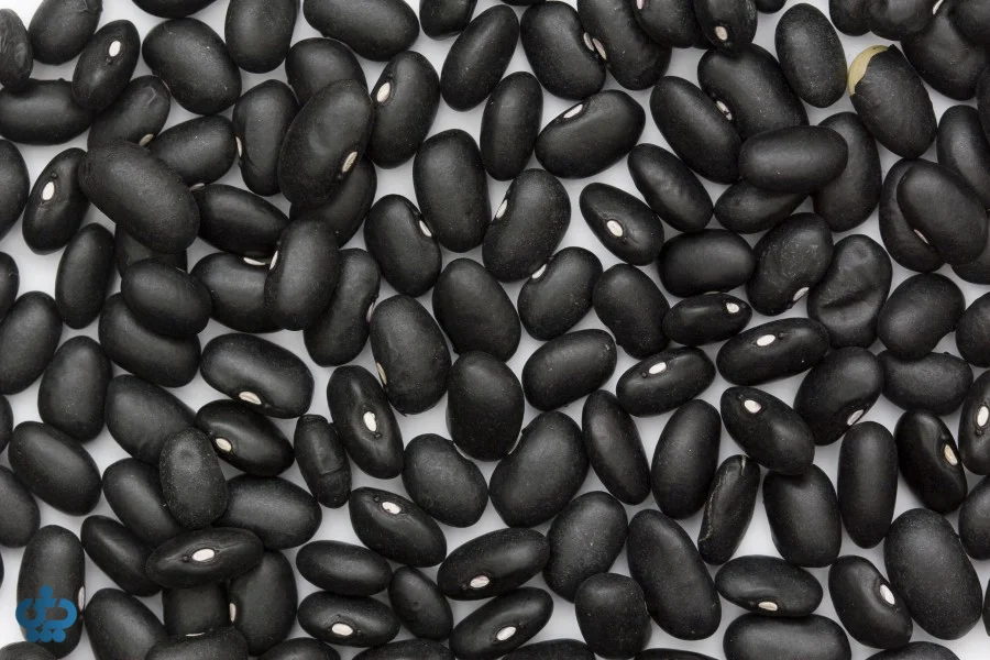 لوبیای سیاه (Black Beans)؛ آنتی‌اکسیدان قوی برای ورزشکاران