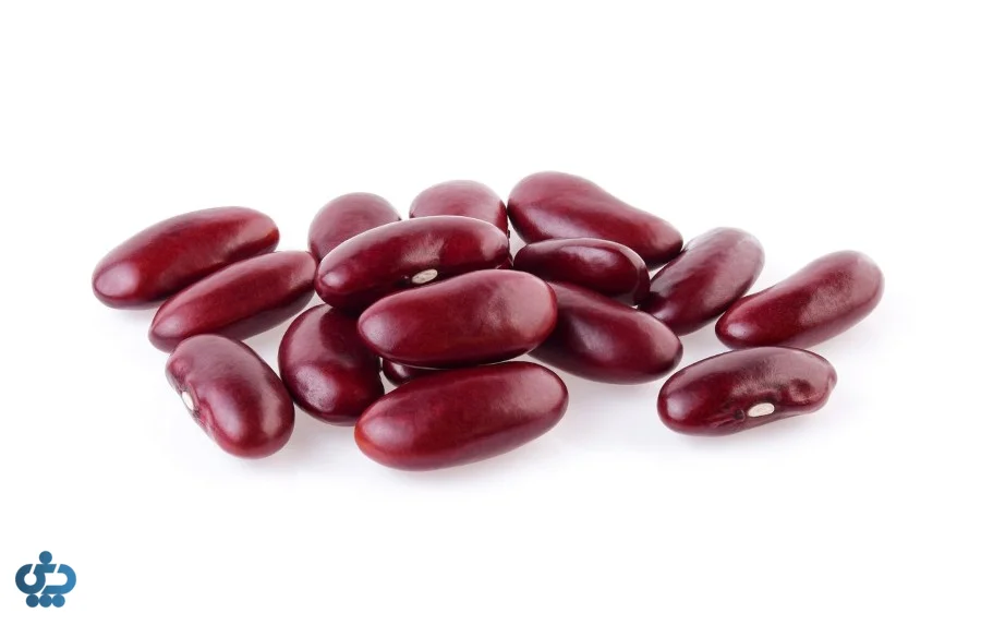 لوبیای قرمز (Kidney Beans)؛ یار همیشگی غذاهای سنتی