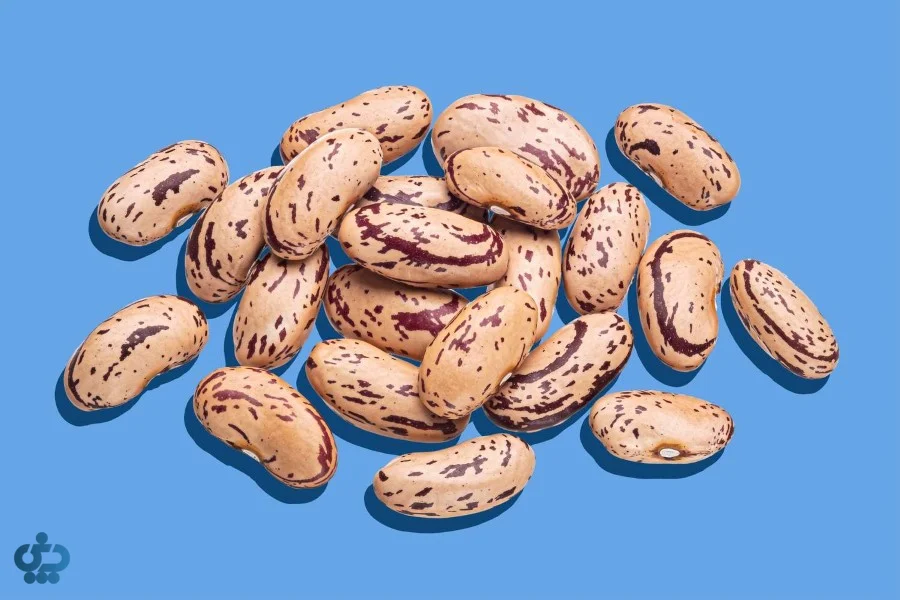 لوبیای چیتی (Pinto Beans)؛ قهرمان خوراک‌ها