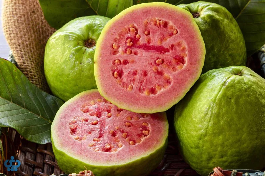 گواوای سبز برش‌خورده با گوشت صورتی و دانه‌های ریز