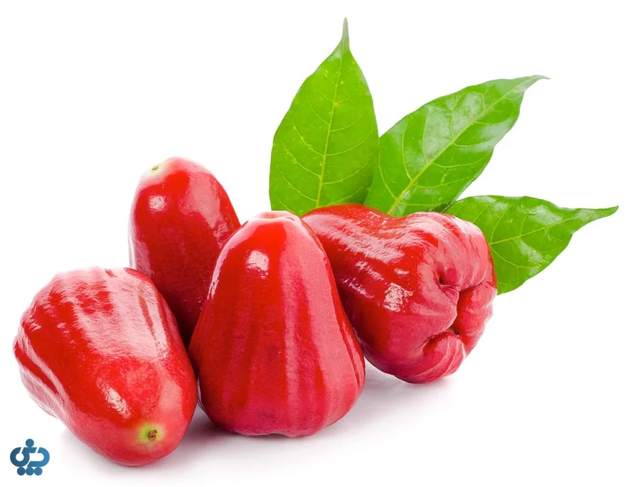 سیب مومی قرمز و براق با شکل زنگوله‌ای و بافت آبدار